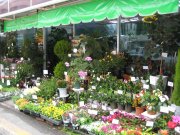 「やなぎや」　（広島県尾道市）の花屋店舗写真1